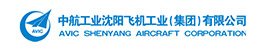 中航工业沈阳飞机工业（集团）有限公司